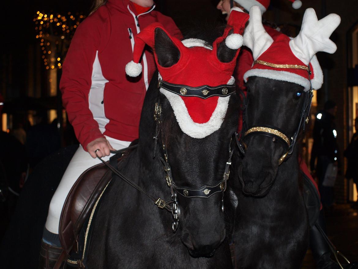 Frieser Baukje Van De Martini solgt billede 17