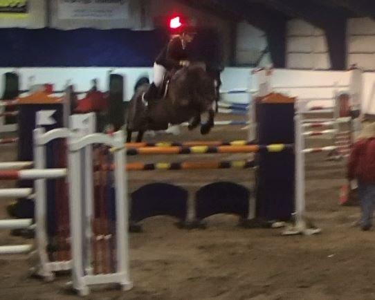 Dansk Varmblod Que tal "Solgt til USA" - Jydsk mesterskab, MA1 - han var super godt springende og klassen inden var den bedste tur vi har haft sammen ;-) billede 1