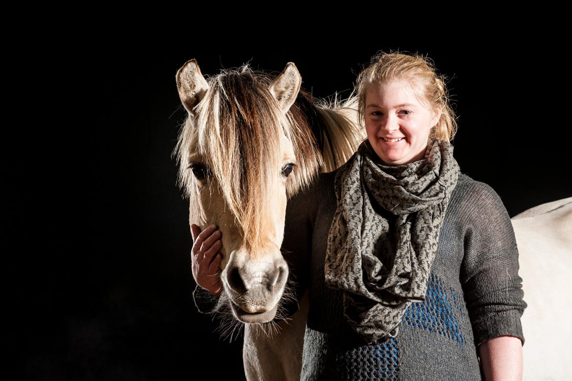 Fjordhest Tone Prinsesse Petersen billede 13