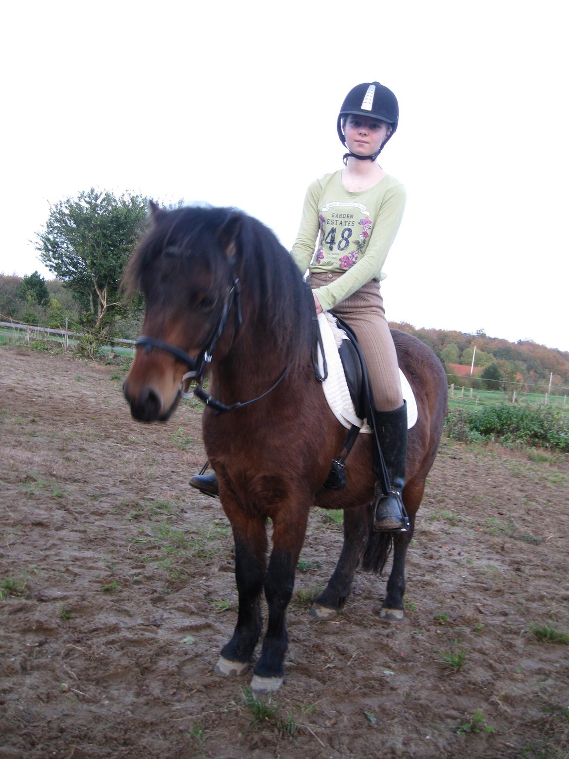 Dartmoor Cayberry Dark Gale - Anden gang jeg sidder/rider på ham. billede 14