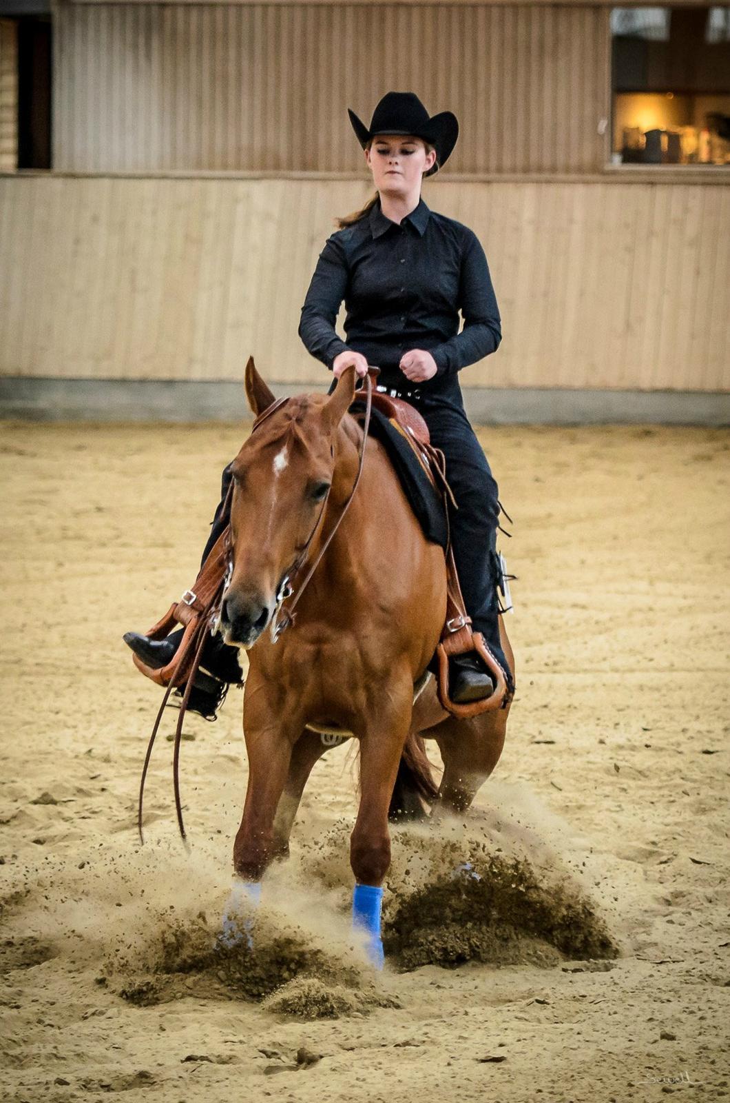 Quarter Little Mega Jac - AQHA Youth Reining, Ride In 2013.  billede 14