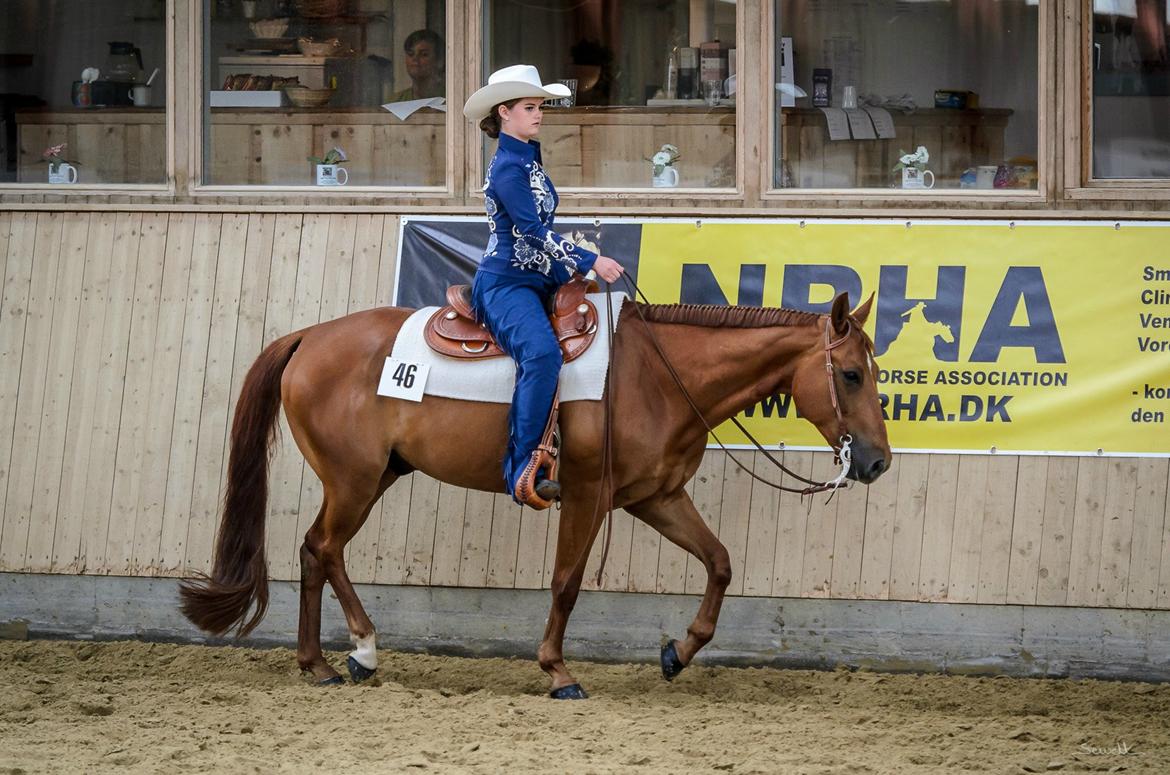 Quarter Little Mega Jac - AQHA Youth Pleasure, Ride In 2013. billede 13