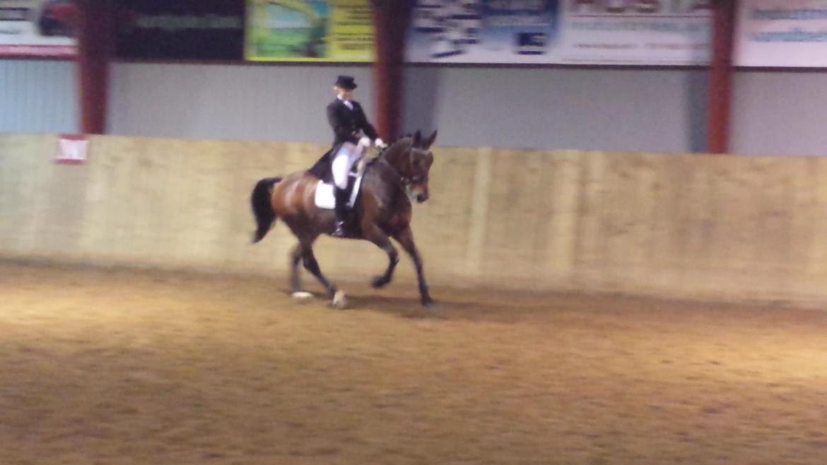 Oldenborg Fleur (Olga) - første prix st-george :) billede 10