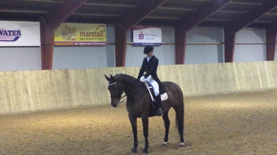 Oldenborg Fleur (Olga) - første Prix st-george <3 billede 21