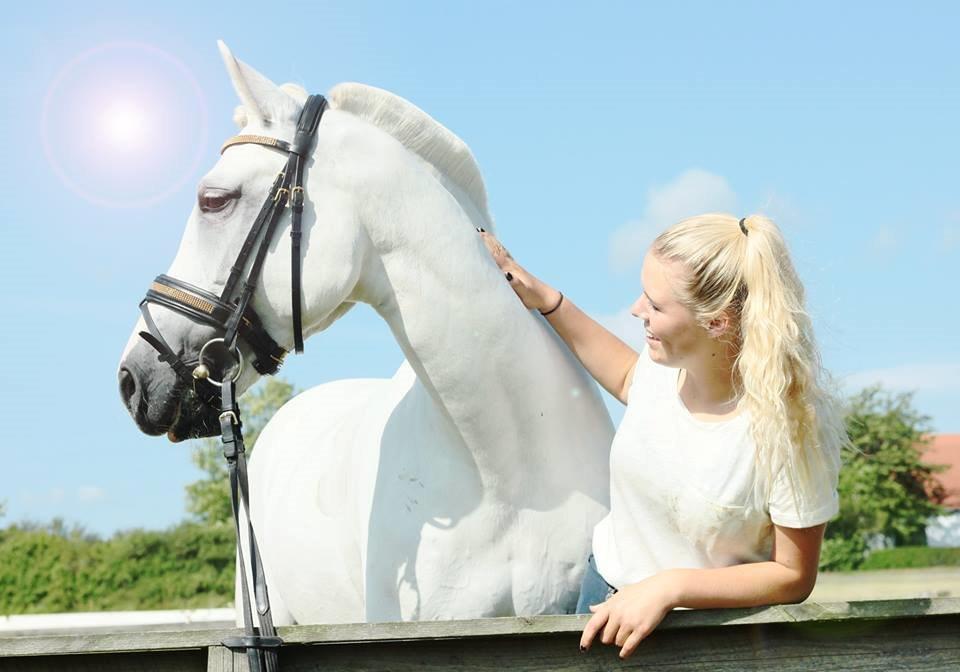 Tysk Sportspony Chica. SOLGT - Chica som fotomodel 2013.  billede 17