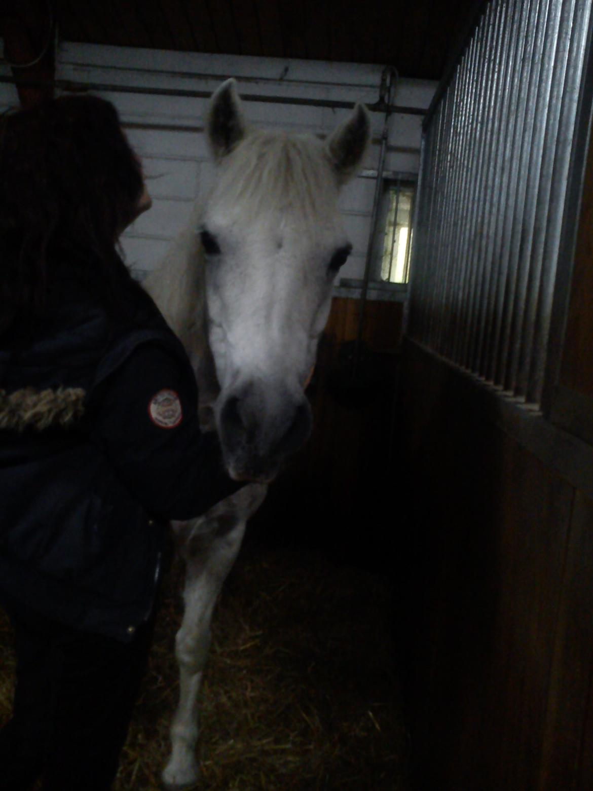 Connemara helene - stars fall down and i fall for you <3 billede 5