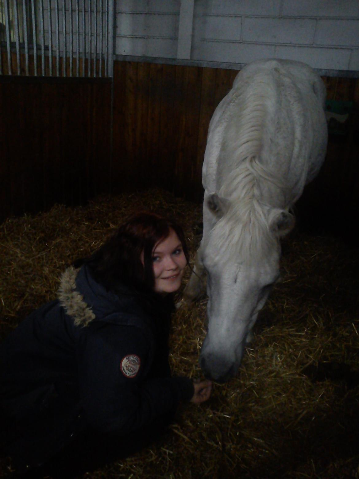 Connemara helene - dejlige hoppe har fået dig med mig de sidste 11 år i min hverdag du betyder stadig verden for mig selvom vi ikke er sammen hver dag mere <3 :( billede 7