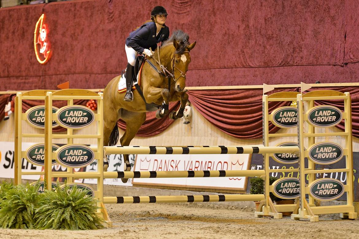 Hollandsk Varmblod Beauty LA Elsmös - LA & Jeg til Christmas Show Warm Up 2013! Kun 5. c-stævne! 2x 0 fejl i LB1(105 cm) og placeret nr. 14 ud af 81!:D Fed oplevelse! + en super sej hest! billede 1