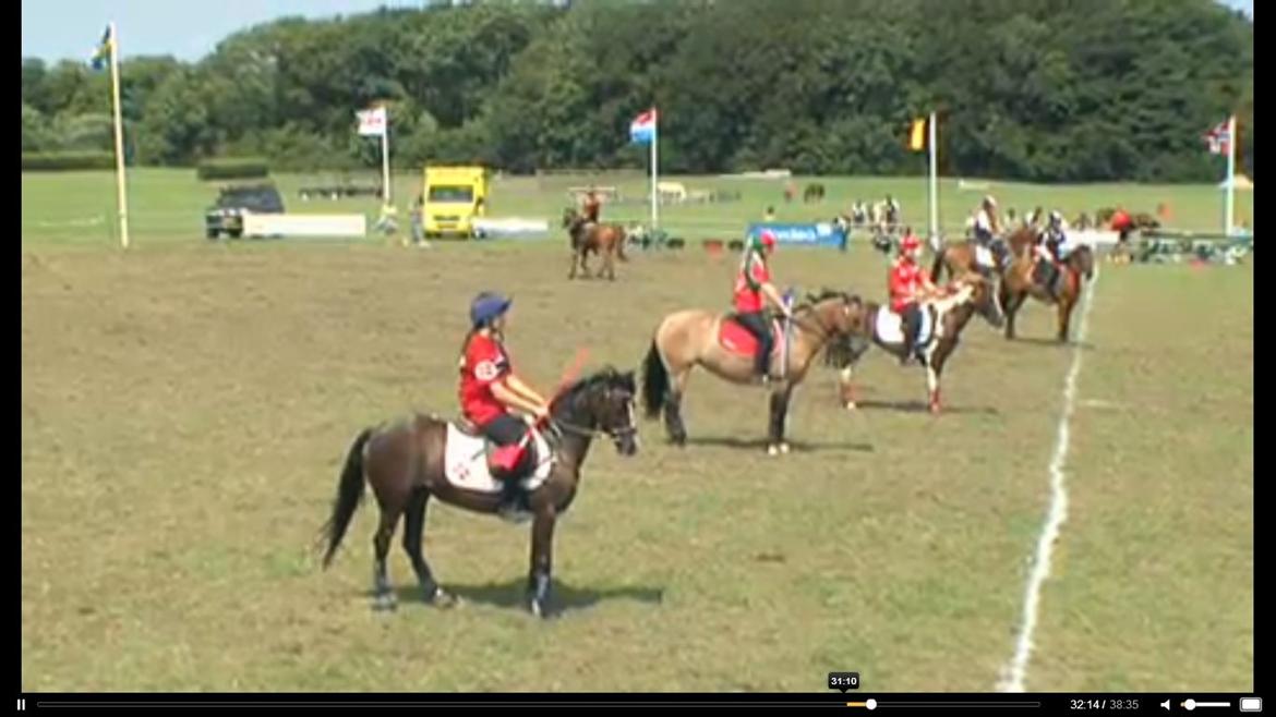 Welsh Pony (sec B) Rozalien O.S billede 20