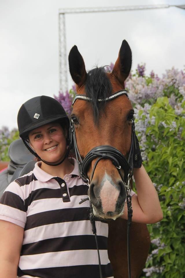 Dansk Varmblod Bakkegaardens Anemone billede 15