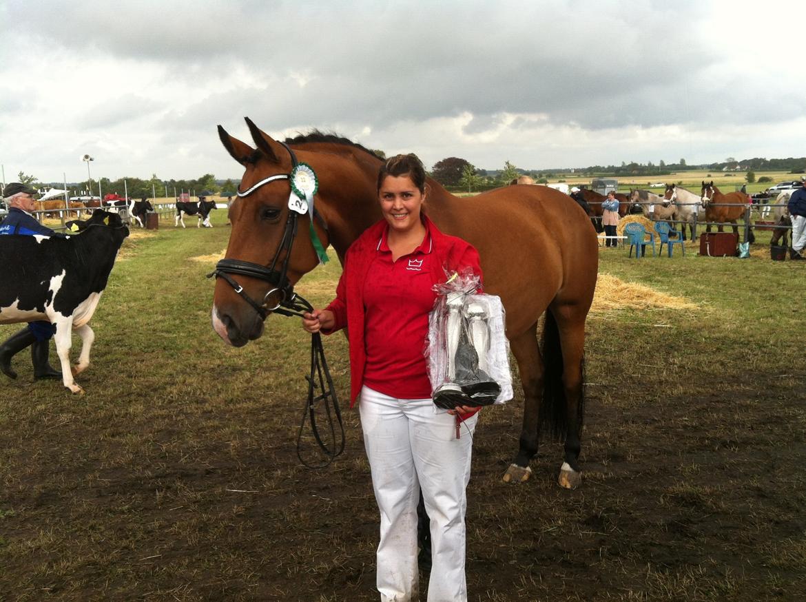 Dansk Varmblod Bakkegaardens Anemone - Aulum dyreskue 2013. 1 plads i mønstrings konkurrencen billede 18