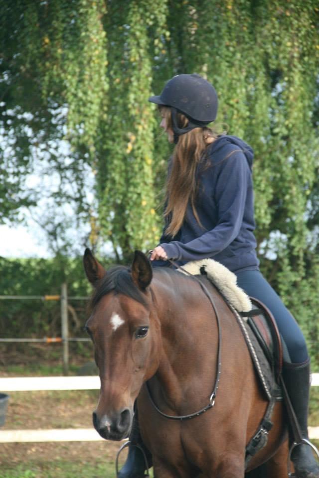 Anden særlig race Cargo billede 7