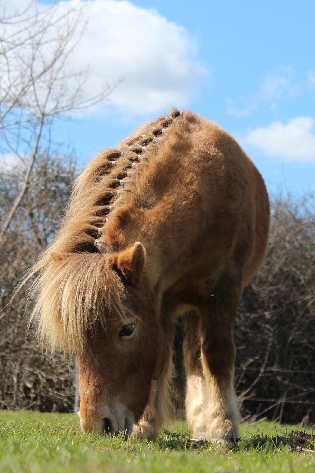 Miniature Tarzan billede 27