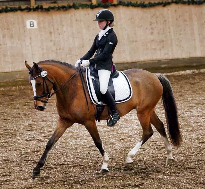 DSP Babett Bitsch - B-pony - Første LA4!<3 billede 9