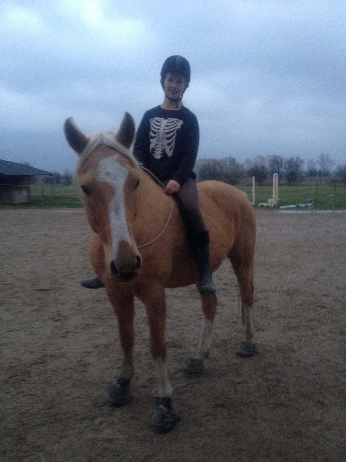 Anden særlig race Copys Le Charmeur billede 14