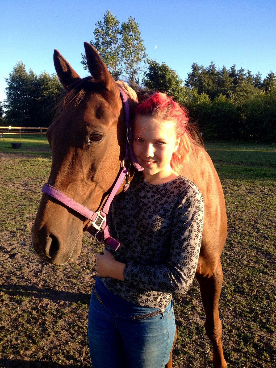 Traver Darling billede 12