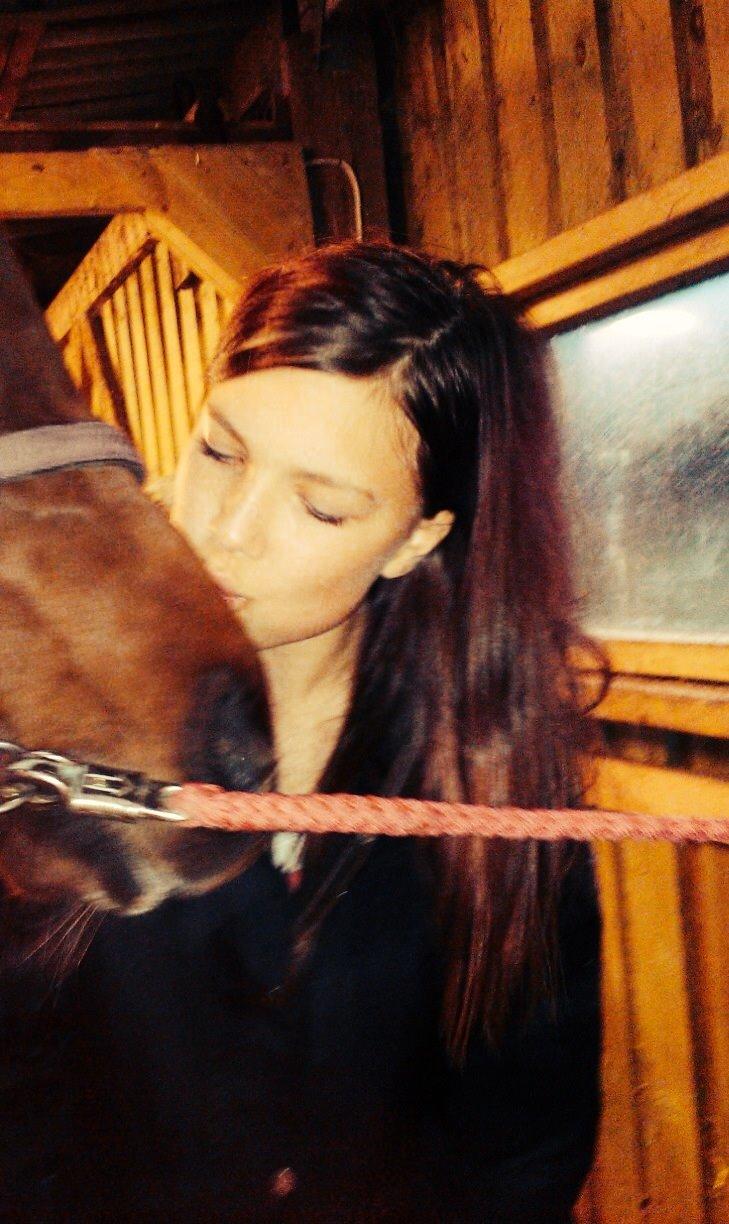 Traver Darling billede 13