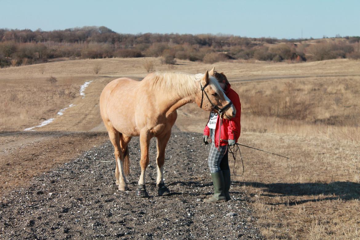 Anden særlig race Copys Le Charmeur billede 15