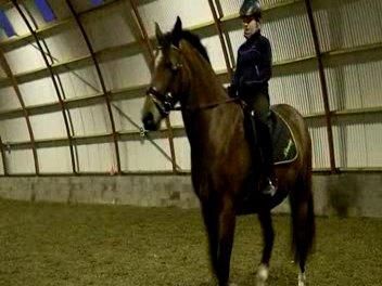 Anden særlig race Dakota - 2/12-13. Første gang jeg er oppe på Tykke-dyret. Han var så sød! <3 (Beklager kvali, det er taget fra videoklip) billede 11