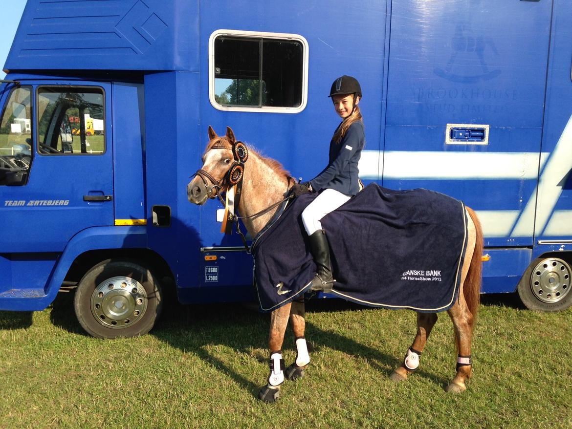 Anden særlig race Fru.Smith - Vinder af D4 horse show aluminiums tour.2013..Super pony billede 1