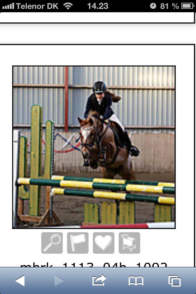 Anden særlig race Fru.Smith - Til stævne i MBRK billede 5