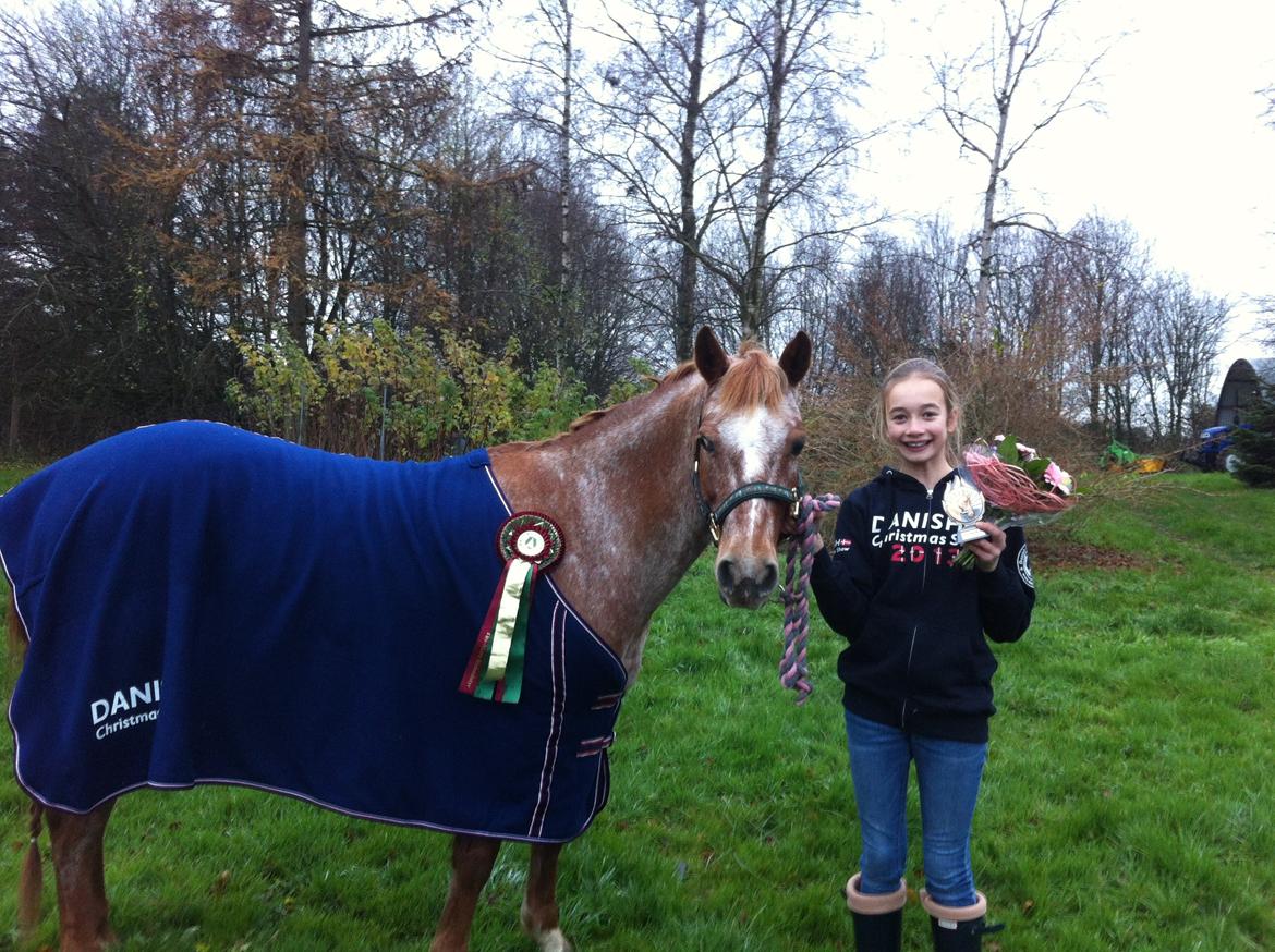 Anden særlig race Fru.Smith - 1. gang til Christmas Warm up 2013. Vi vandt LB*. "guld pony"... billede 7