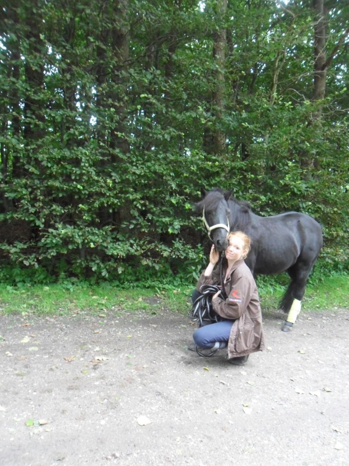 Anden særlig race Fie billede 12