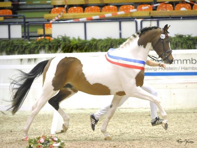 Pinto Soel'rings Chardonnay billede 3