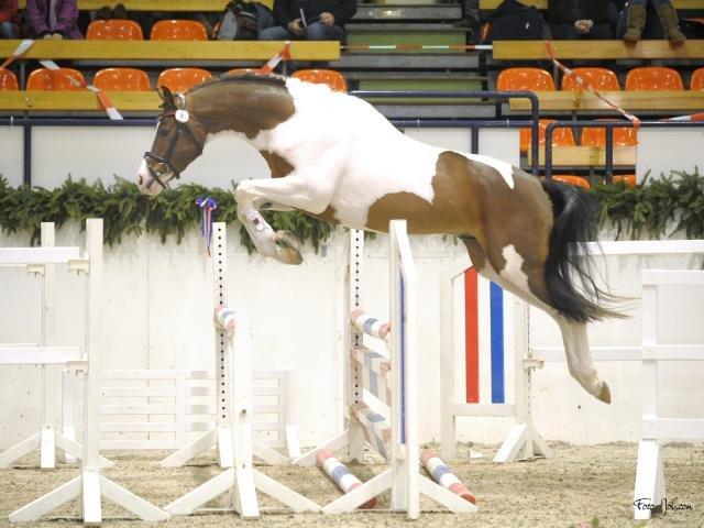 Pinto Soel'rings Chardonnay billede 4