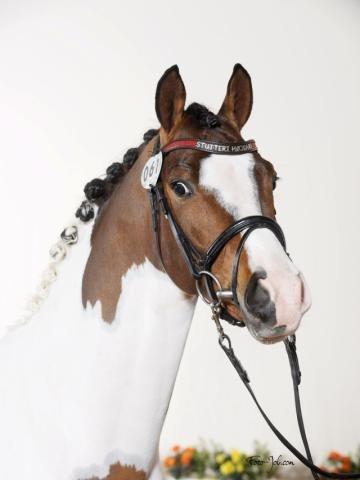 Pinto Soel'rings Chardonnay billede 5