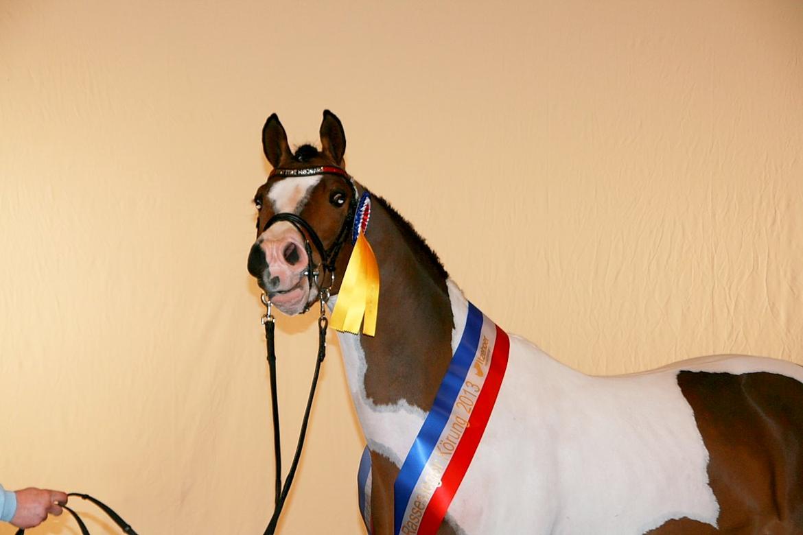 Pinto Soel'rings Chardonnay billede 8