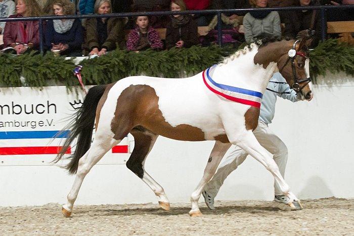 Pinto Soel'rings Chardonnay billede 9