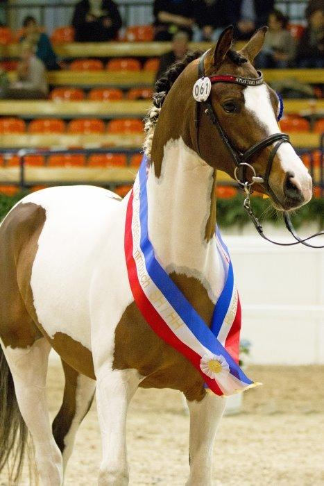 Pinto Soel'rings Chardonnay billede 2