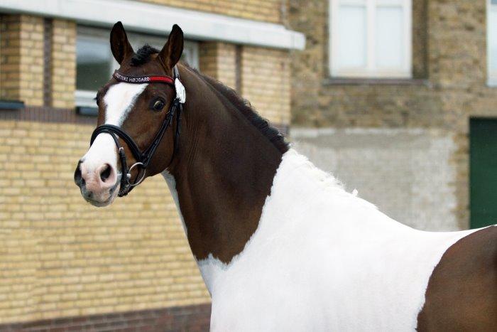 Pinto Soel'rings Chardonnay billede 10