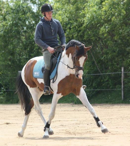 Pinto Soel'rings Chardonnay billede 6