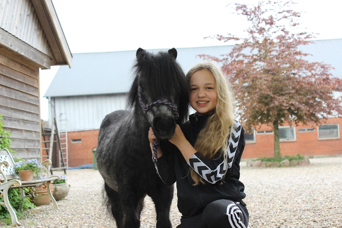 Anden særlig race Piet billede 2