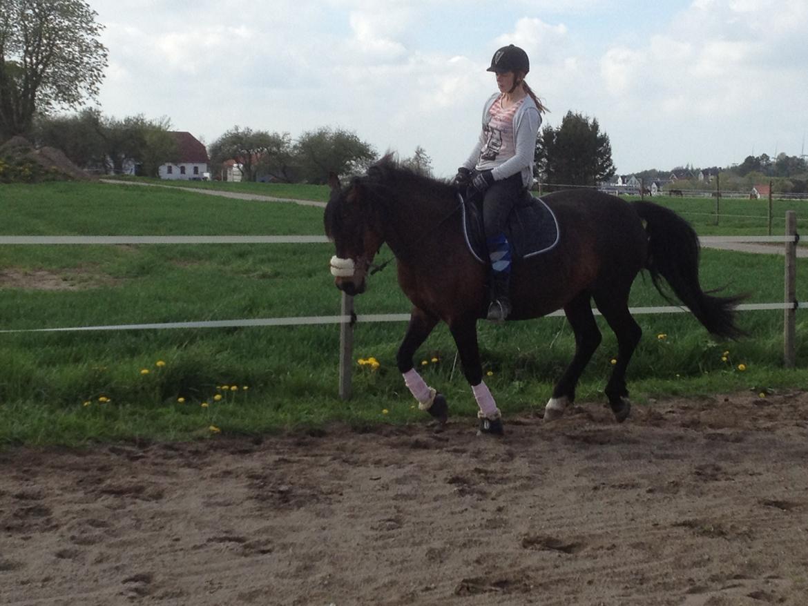 Anden særlig race Luna - <3 billede 5