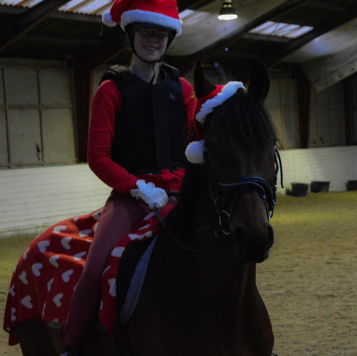 Dansk Varmblod Fiona *Fio* - Vi tog lige en dag med Julehygge :-D billede 20