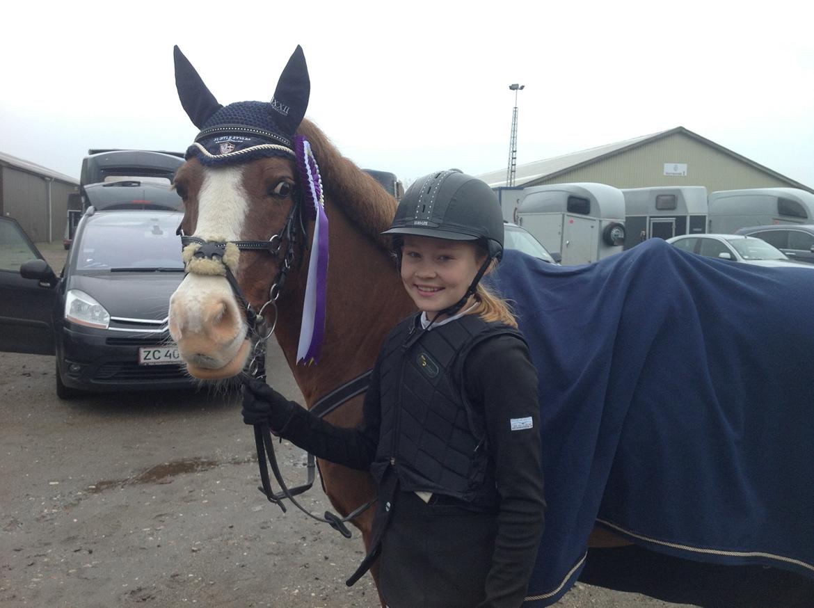 Anden særlig race Pretty Boy - SOLGT - 2 plads på Vilhelmsborg i LA1*  billede 6