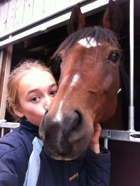 New Forest Diomedes Dyrekjær - Diomedes er så sød... billede 5