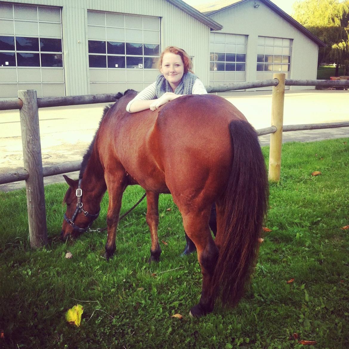 Anden særlig race Skipper - Dejlig dag <3 billede 5