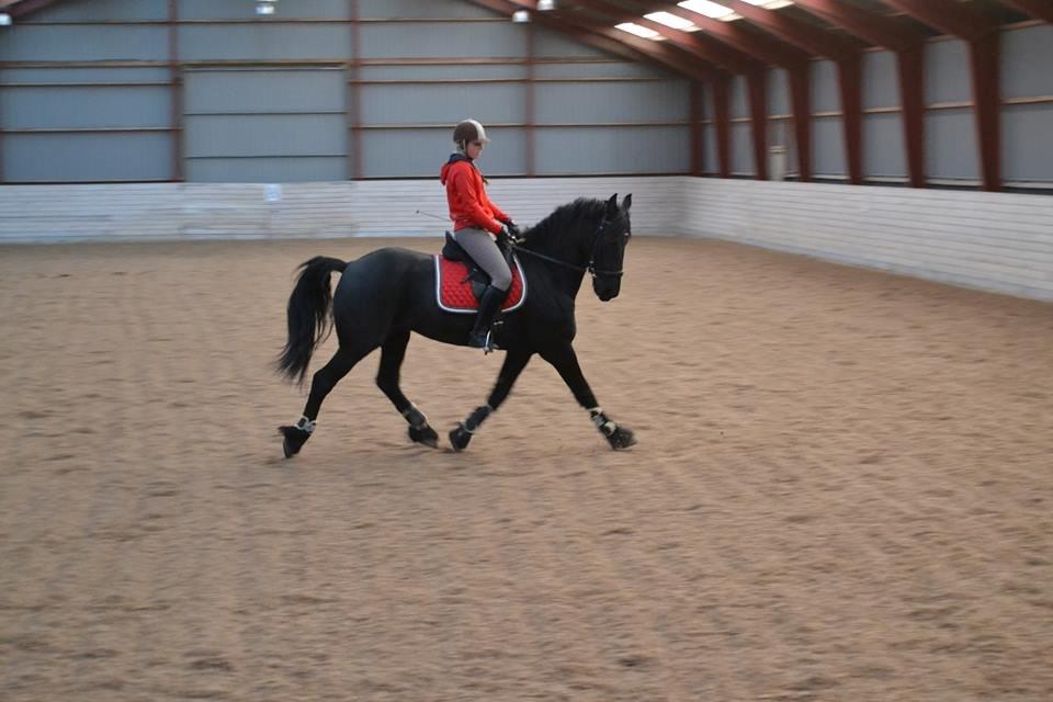 Frieser Sultan billede 2