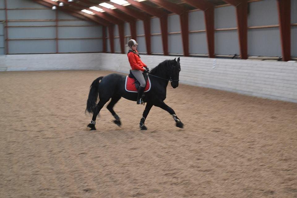 Frieser Sultan billede 3