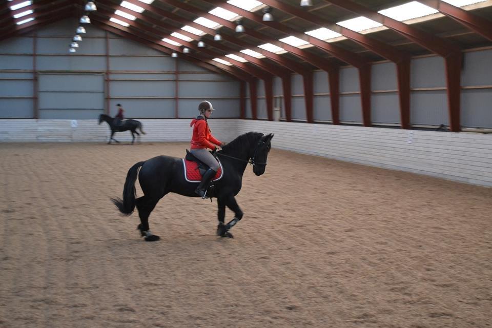 Frieser Sultan billede 4