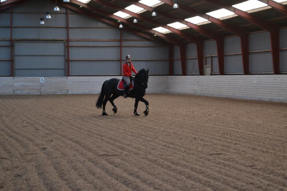 Frieser Sultan billede 5