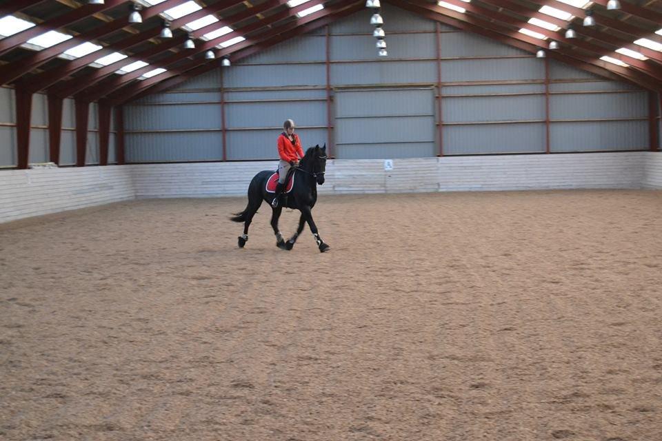 Frieser Sultan billede 6