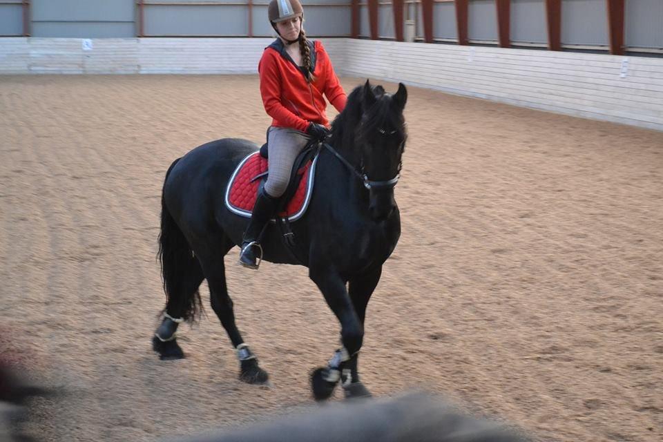 Frieser Sultan billede 7