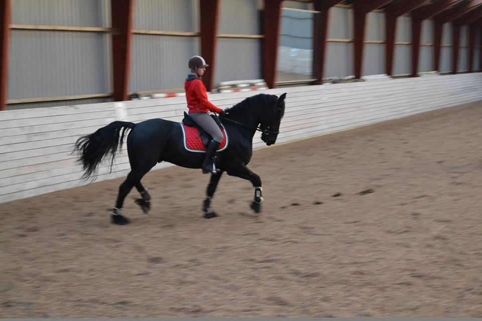 Frieser Sultan billede 8