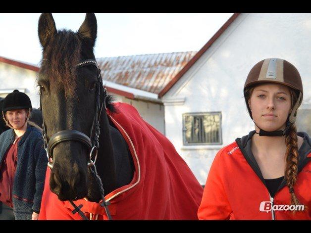 Frieser Sultan - Velkommen!! billede 1