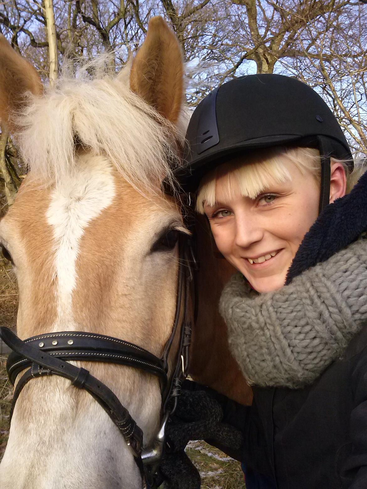 Haflinger Winchest - Efter en skøn ridetur billede 19